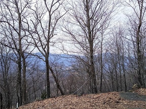 5th image of TBD, Lot #251 Thomas Dr/ Abbie Trail Drive