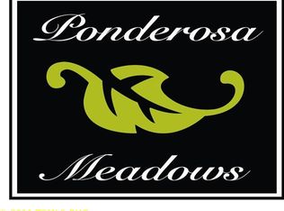 11333 Brockway Rd, Truckee, CA 96161