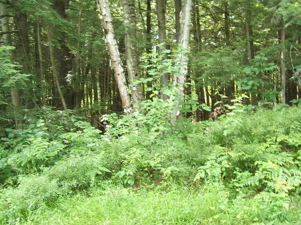 0 Lot 362-363 Leisure Lane, Limerick, ME 04048