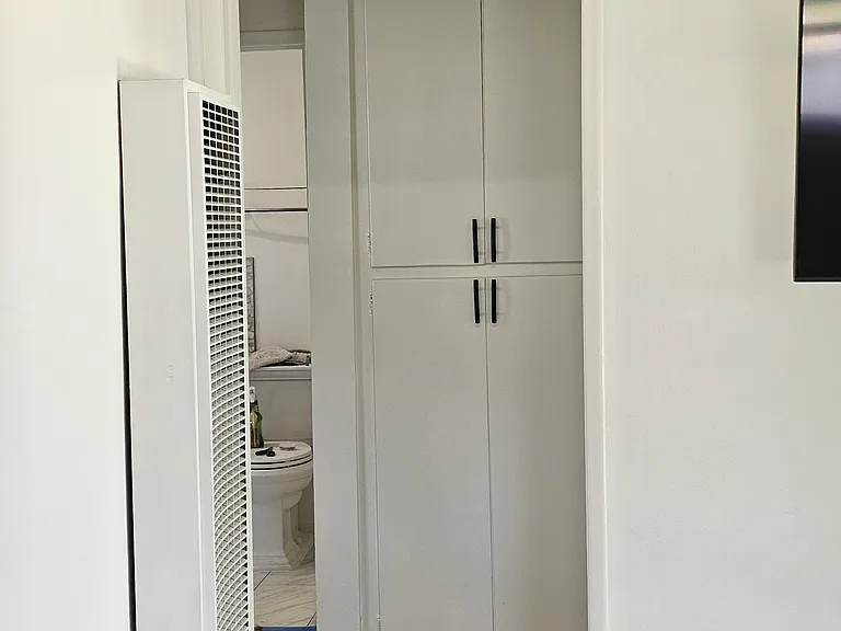Looking towards hall, highlighting hall closet, and a small part of bathroom.