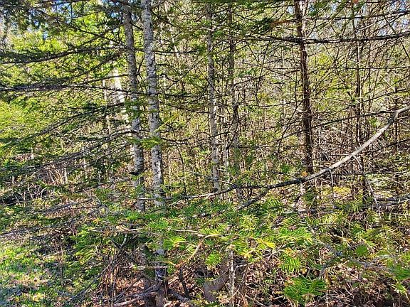 2nd image of LOT 292 Bay View Dr
