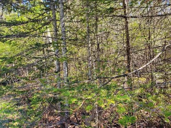LOT 292 Bay View Dr, Presque Isle, MI 49777