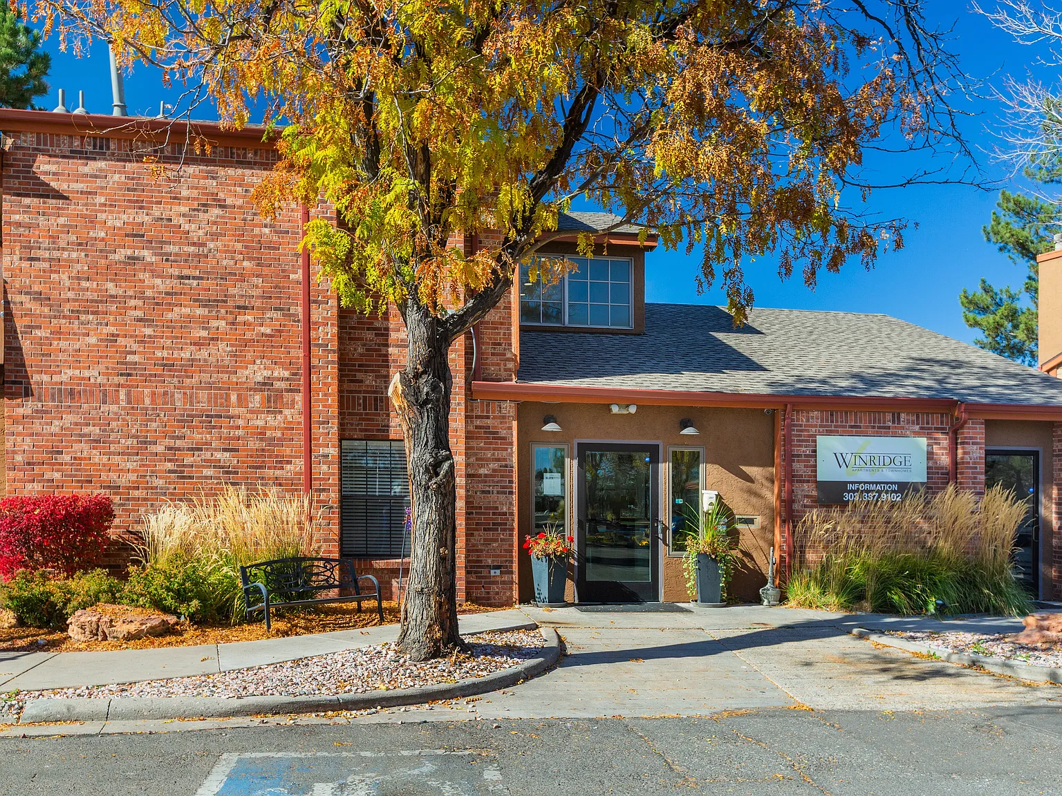 Winridge Apartments and Townhomes — Photo 4