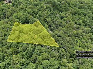 0 Logging Trl, Maggie Valley, NC 28751