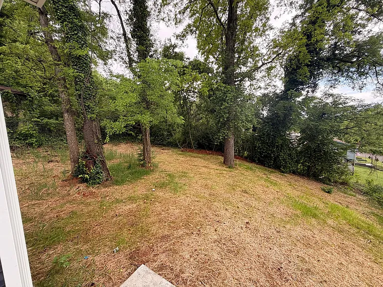 2417 Waverly St NW — Photo 52