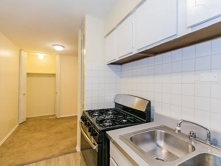 Lincoln Park Living! — Photo 40
