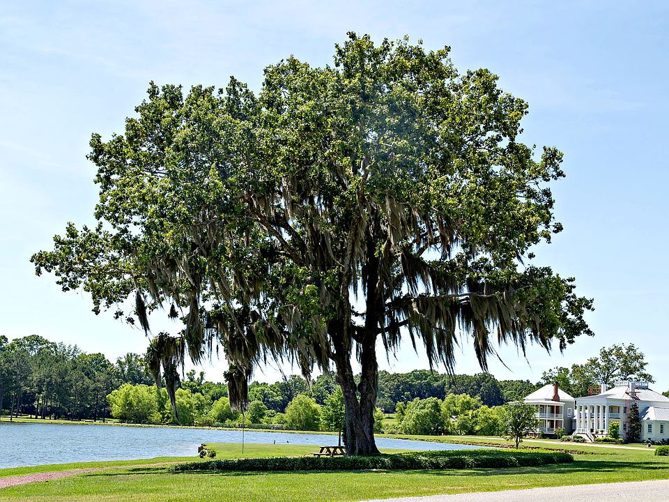 What are you waiting for Come make a life at it!