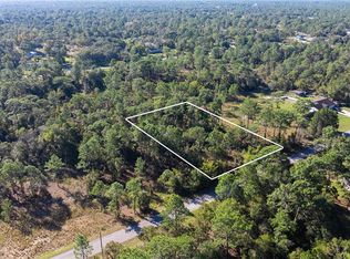 5756 W CONNETQUOT PLACE LOT 3, DUNNELLON, FL 34433