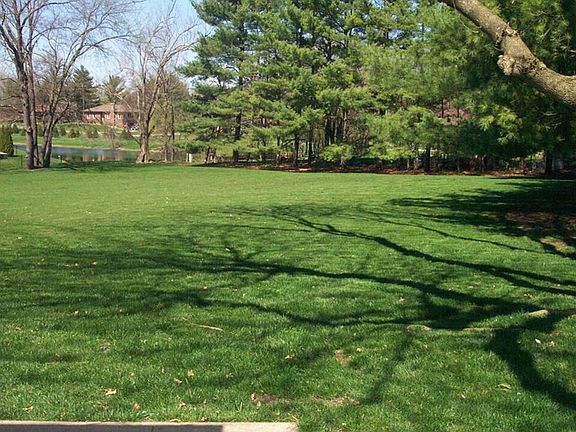 View of the huge Backyard with a view of a pond.