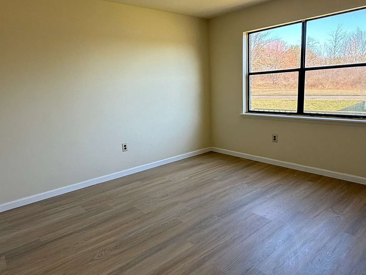 2 bed, $950 — Photo 1