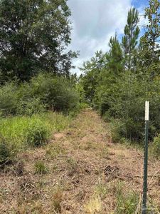 2800 Blk Velor Dr, Mc David, FL, 32568