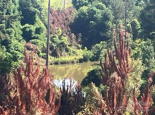 536-4 Pea Ridge Rd, Mill Spring, NC 28756