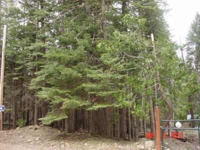2212 & 2218 Pine Cone Ln, Quincy, CA, 95971