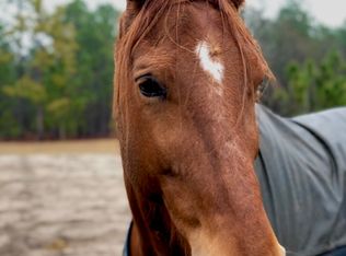 1490 Ashemont Rd, Aberdeen, NC 28315