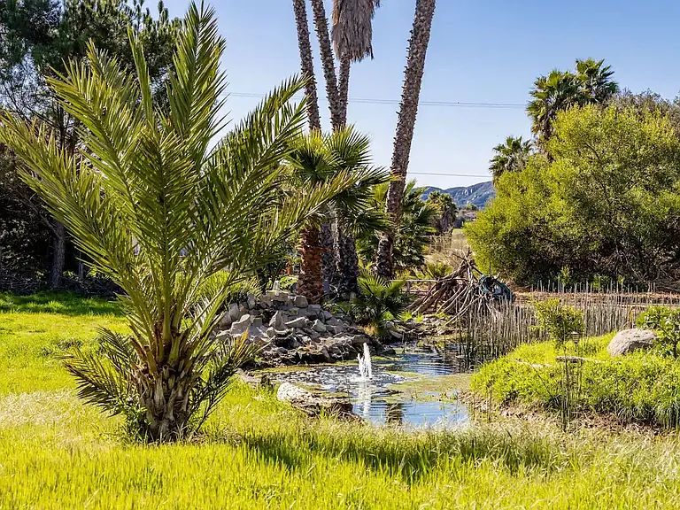 3058 Hill Valley Dr — Photo 4