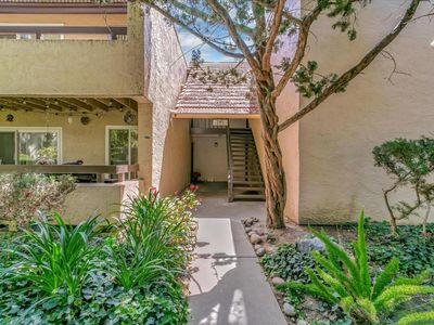 285 Tradewinds Dr APT 8, San Jose, CA, 95123