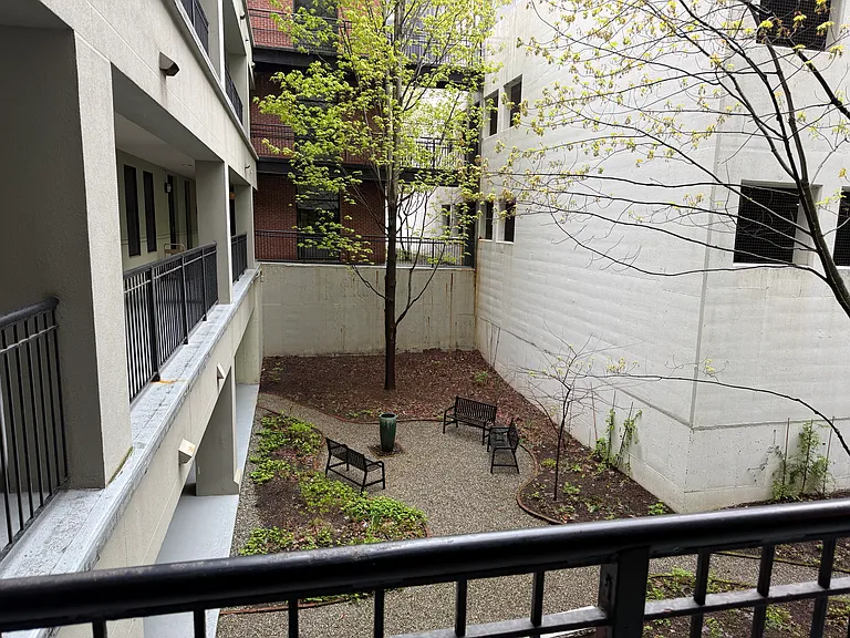 40 College St #204 — Photo 2