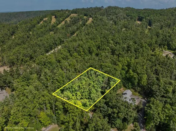 6093 Wintergreen Dr #53, Harbor Springs, MI 49740