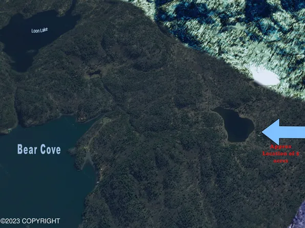 0 Lake Quitaliwana, Homer, AK 99603