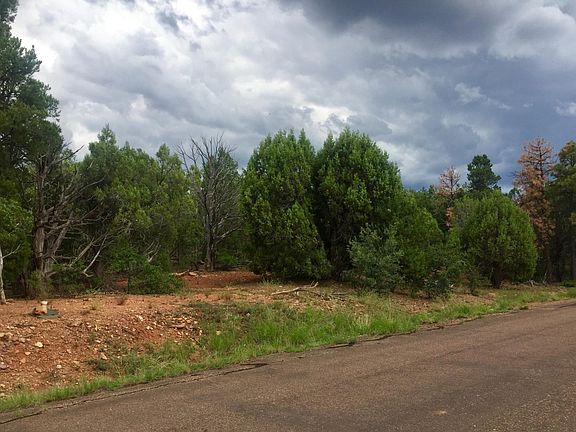 Heavily Treed Lot in Cul-de-Sac