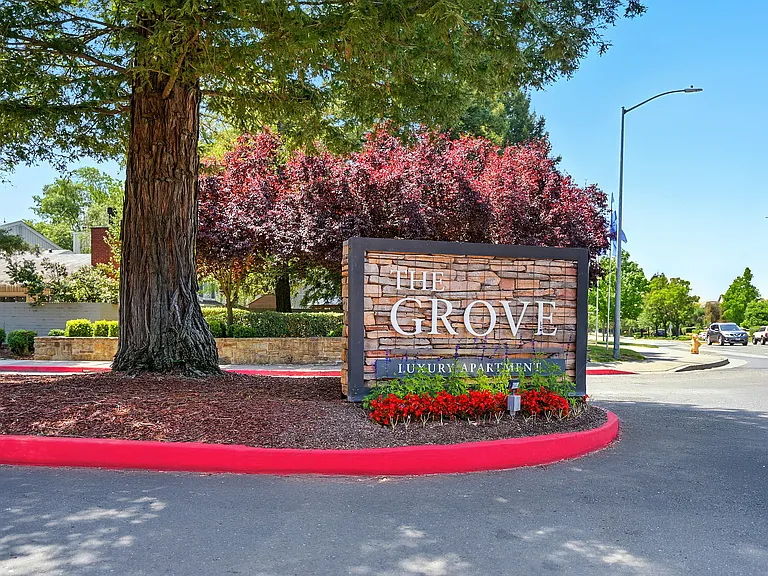 The Grove Luxury Apartments — Photo 49