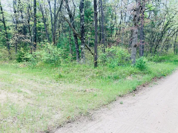 Vl Monroe, Idlewild, MI 49642