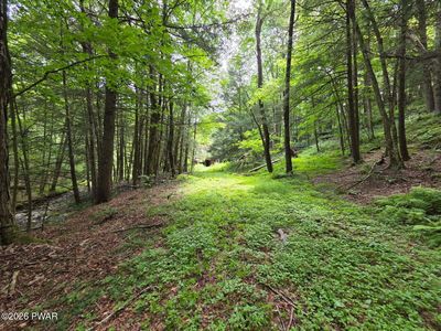 570 Pleasant Valley Rd, Starrucca, PA, 18462