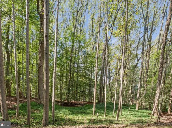 258 Jeffery Ln, Great Falls, VA 22066