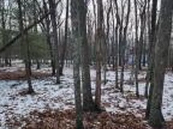 897 Pico Ln, Tafton, PA 18464
