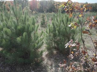 Mayfield Rd, Kingsley, MI 49649