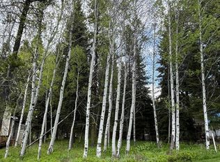 816 Evergreen Dr, McCall, ID 83638