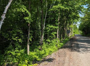 LOT 1 Tally Ho Winter Park Rd, Lake Of Bays, ON P1H2J6