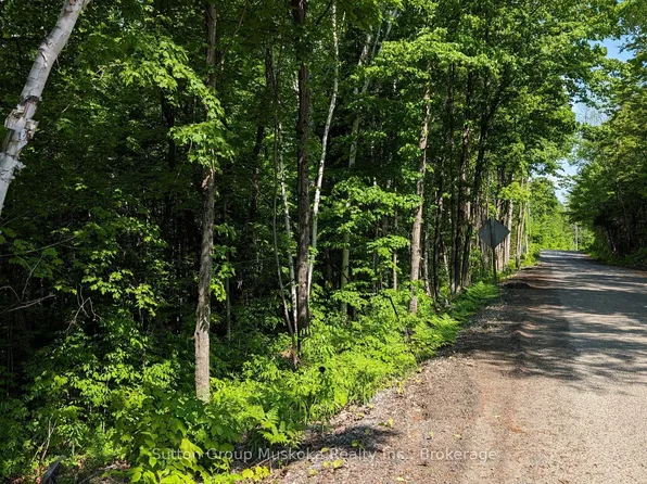 LOT 1 Tally Ho Winter Park Rd, Lake Of Bays, ON P1H 2J6