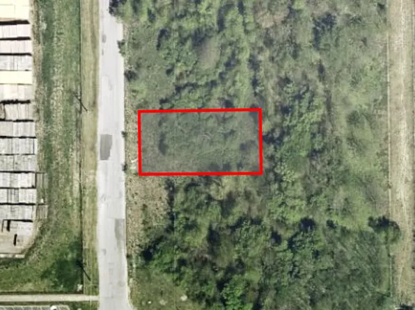 15339 S Wallace Ave, South Holland, IL 60473