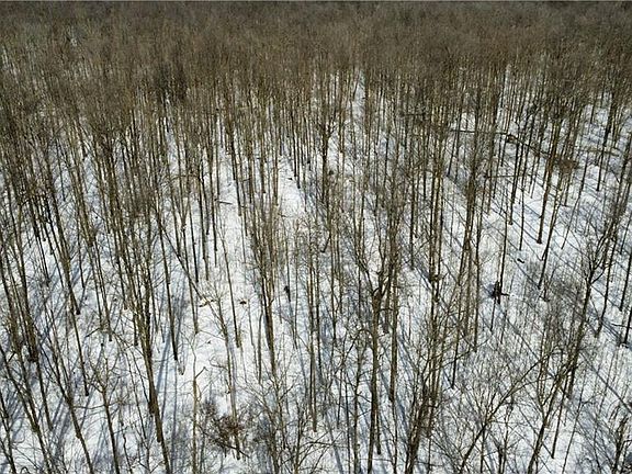 4th image of OOO COUNTY RD. F