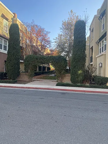 12852 Palm St Photo 1