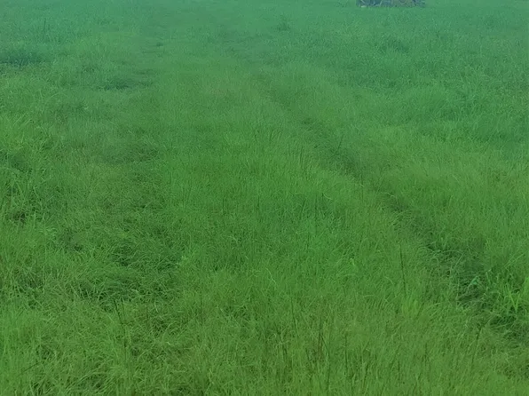 Us Highway 167 #10, Opelousas, LA 70570