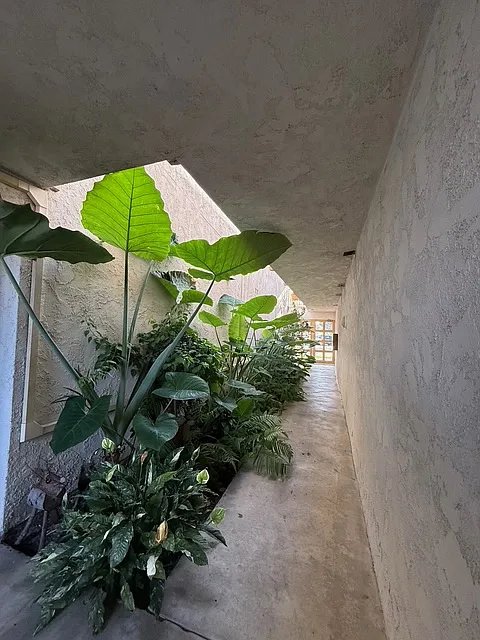 1 bed, 725 sqft, $2,200 — Photo 4