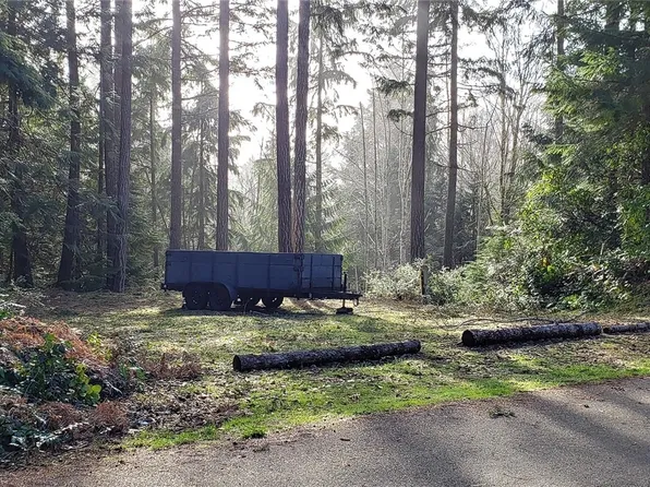 66 Trail Head Loop, Lilliwaup, WA 98555