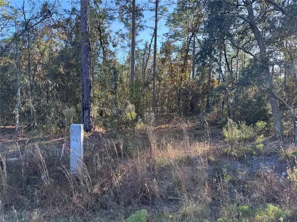 Tbt Southwest Ln #91, Dunnellon, FL 34432