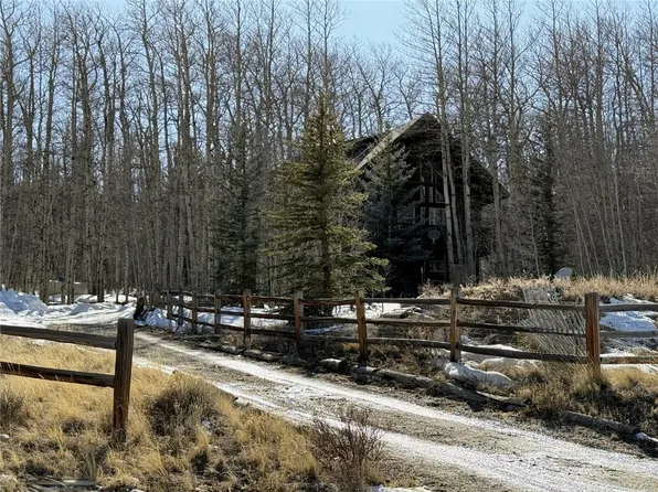 1387 High Creek Rd, Fairplay, CO 80440