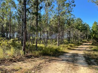 2286 Open Pond Rd, Whigham, GA 39897