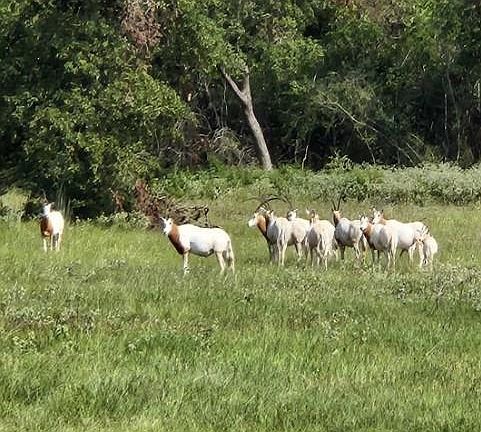 5th image of Horseshoe Lake Rnch