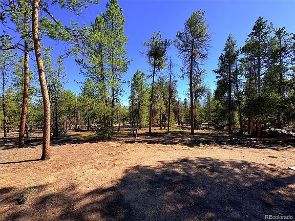 5th image of 399 Lodgepole Drive LOT 28
