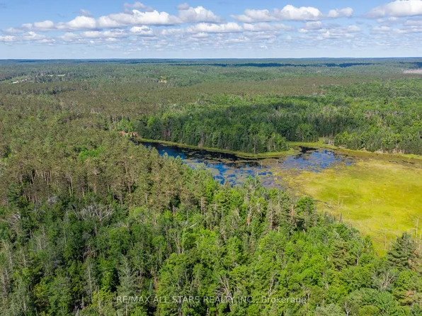 0 Monck Rd, Kawartha Lakes, ON K0M 2L0