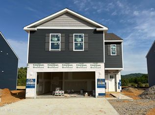74 Ollie St, Johnson City, TN 37615