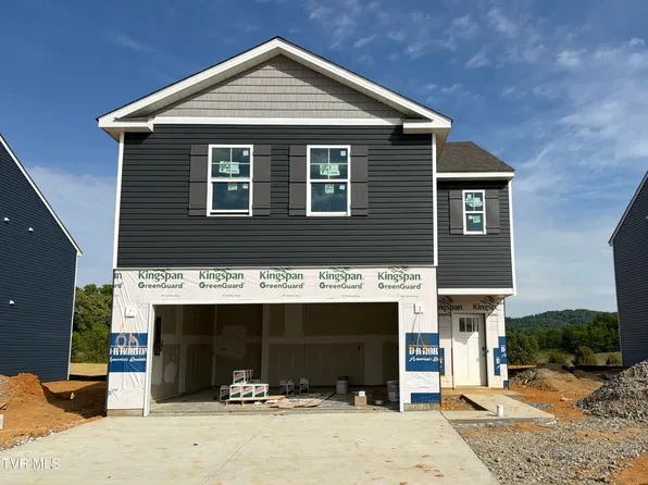 74 Ollie St, Johnson City, TN 37615