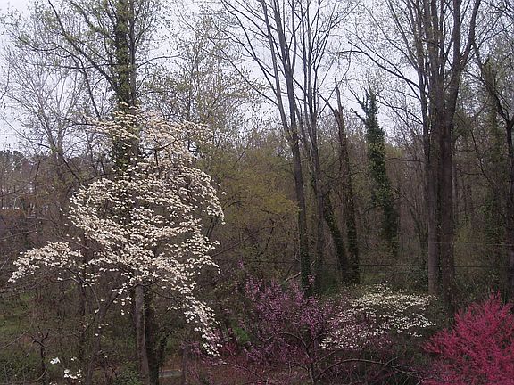 view of park from house