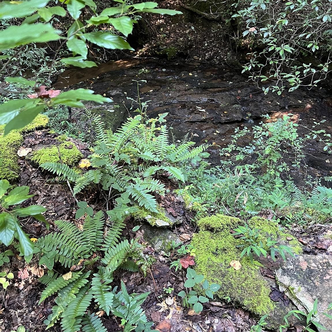 226 High Way, Casar, NC 28020 Zillow