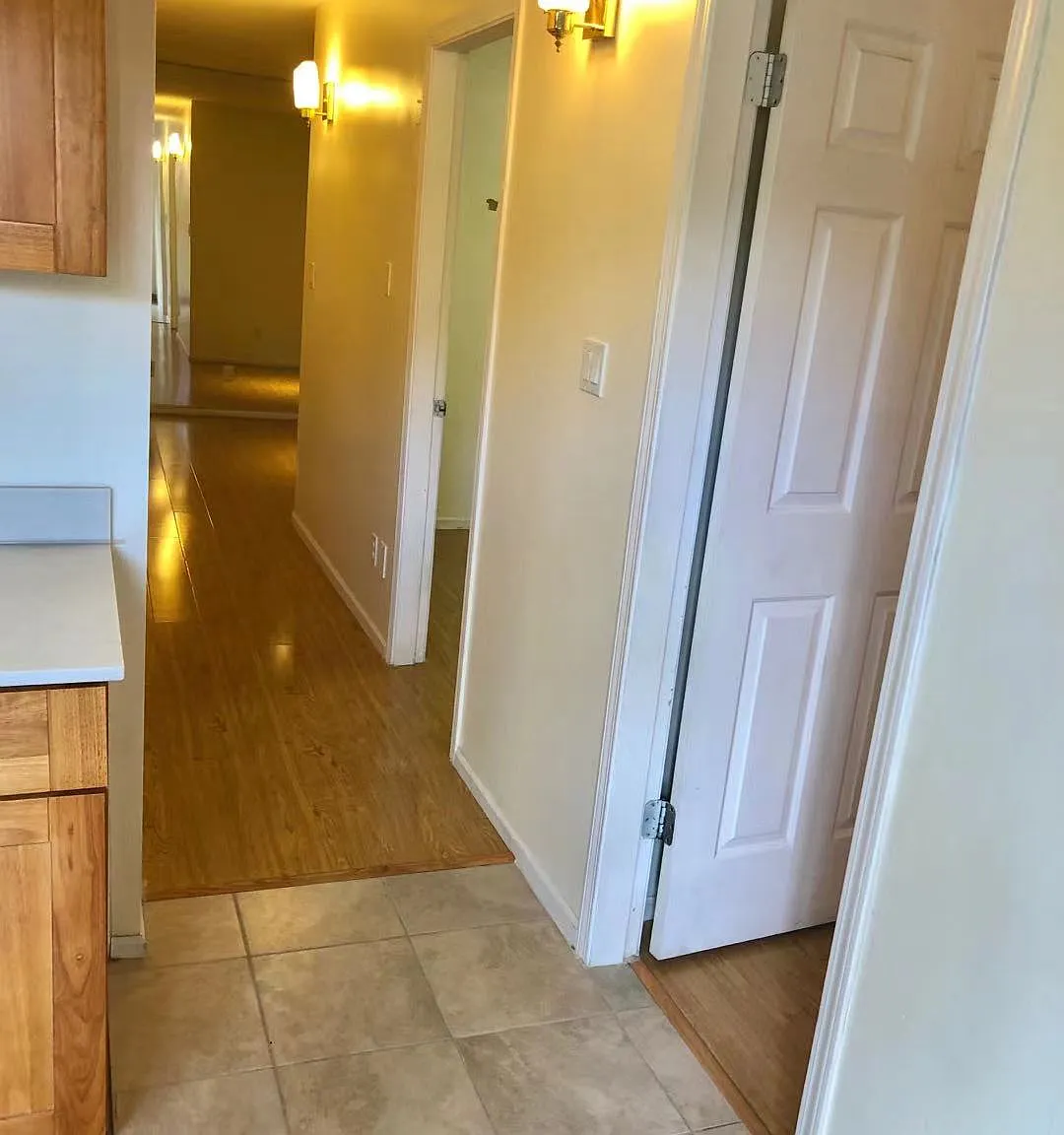 2 bed, 800 sqft, $1,800 — Photo 4